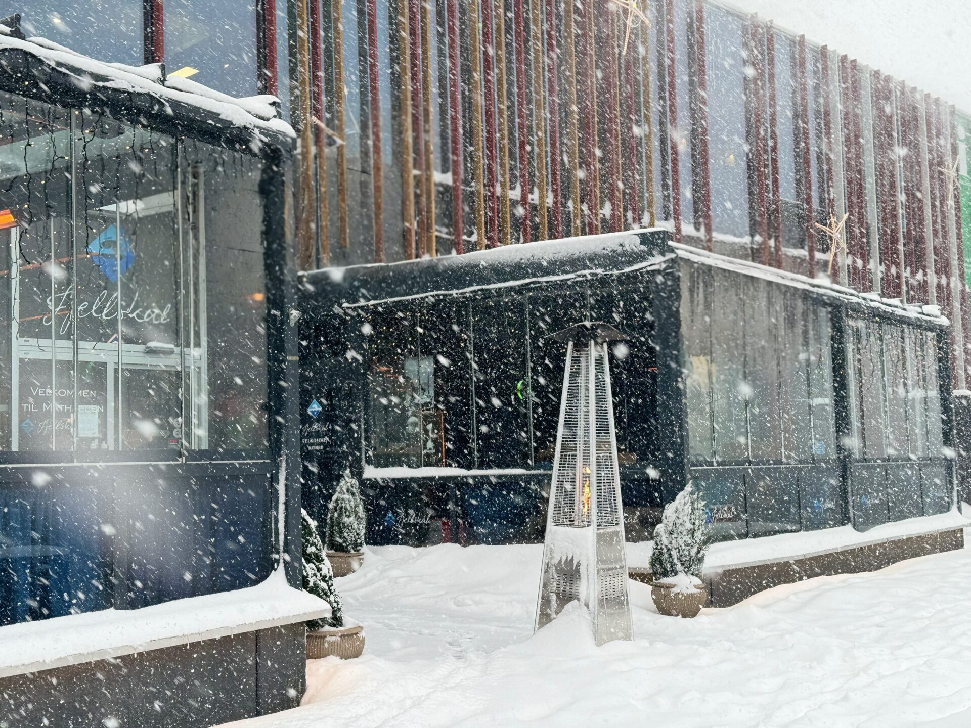 Featured image for “Fjellskål”