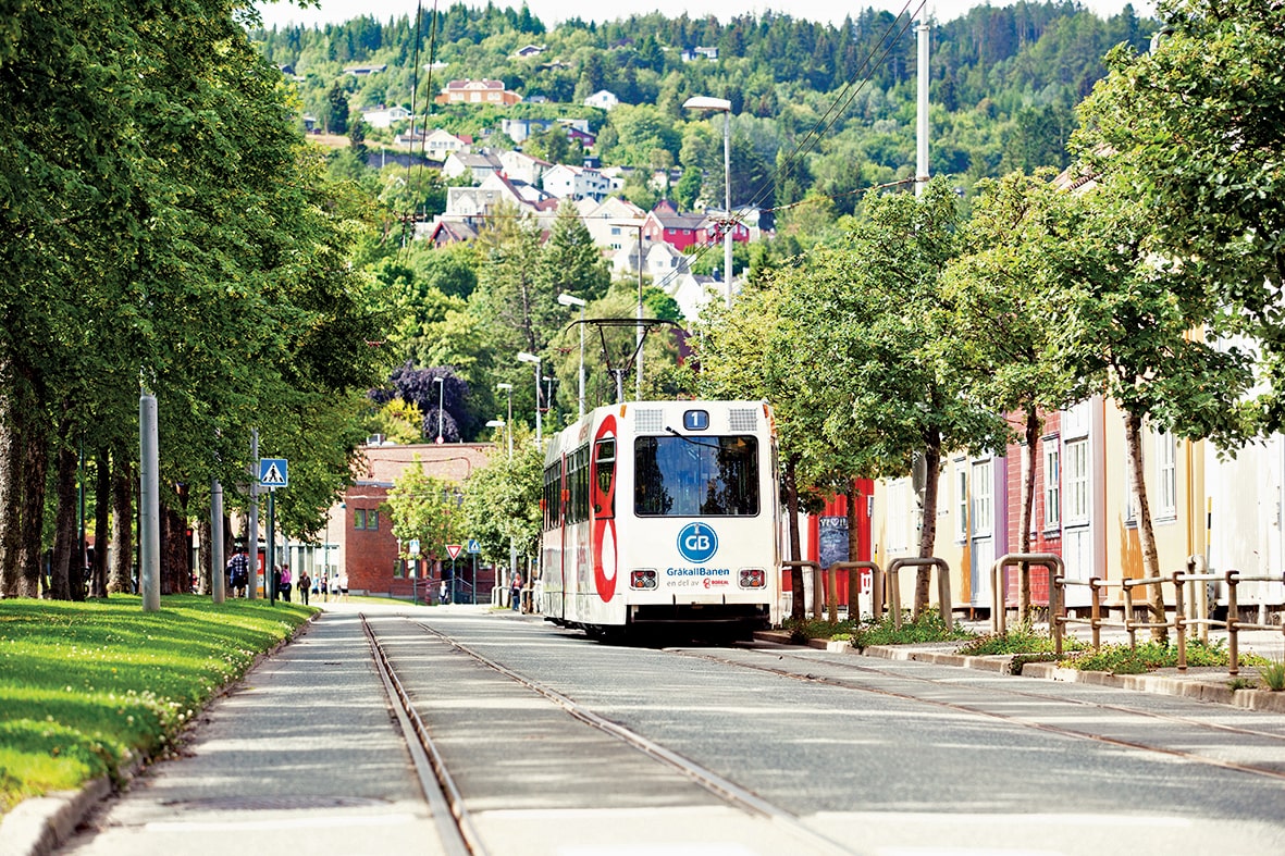 Featured image for “Gråkallbanen”