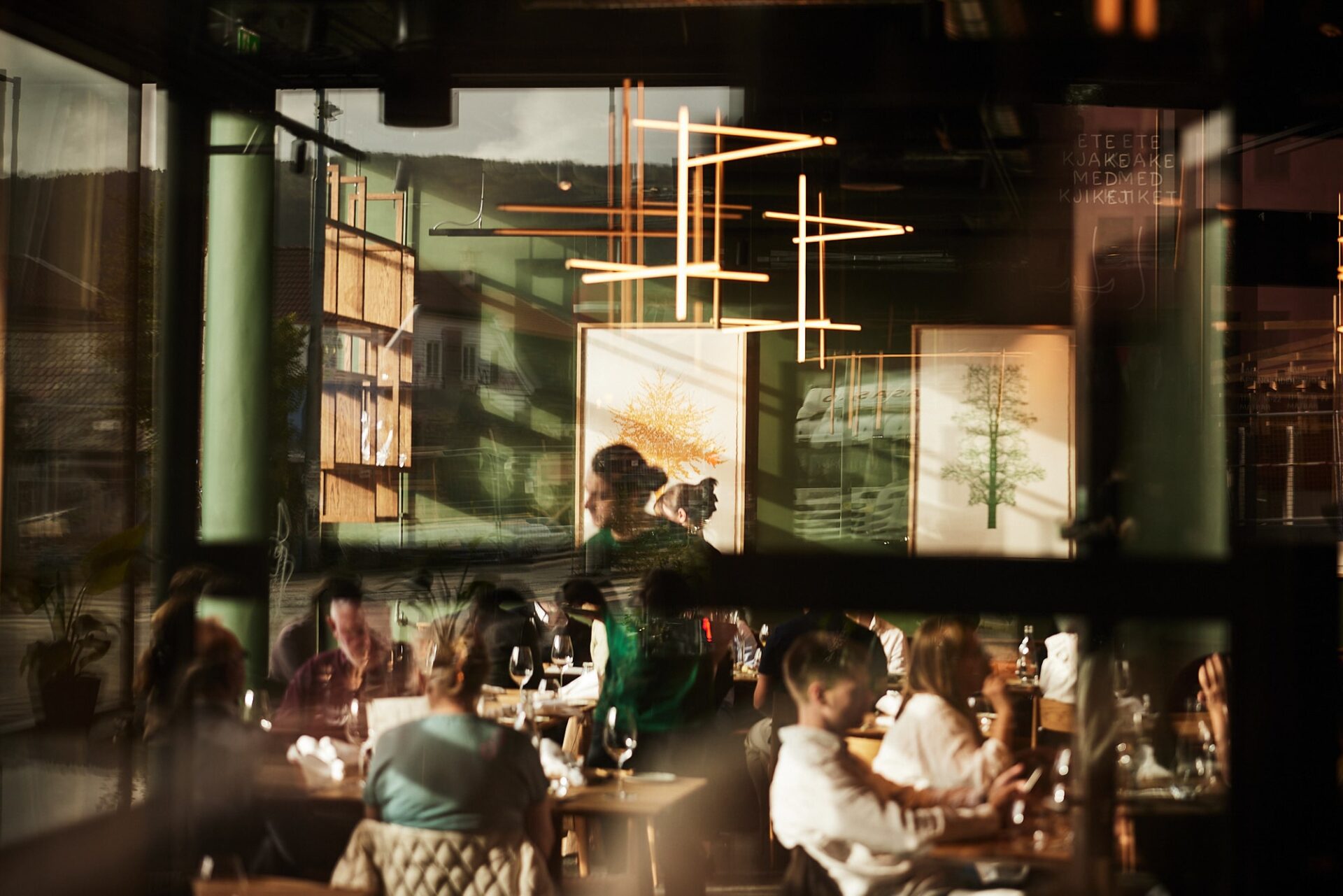 Featured image for “Bark”