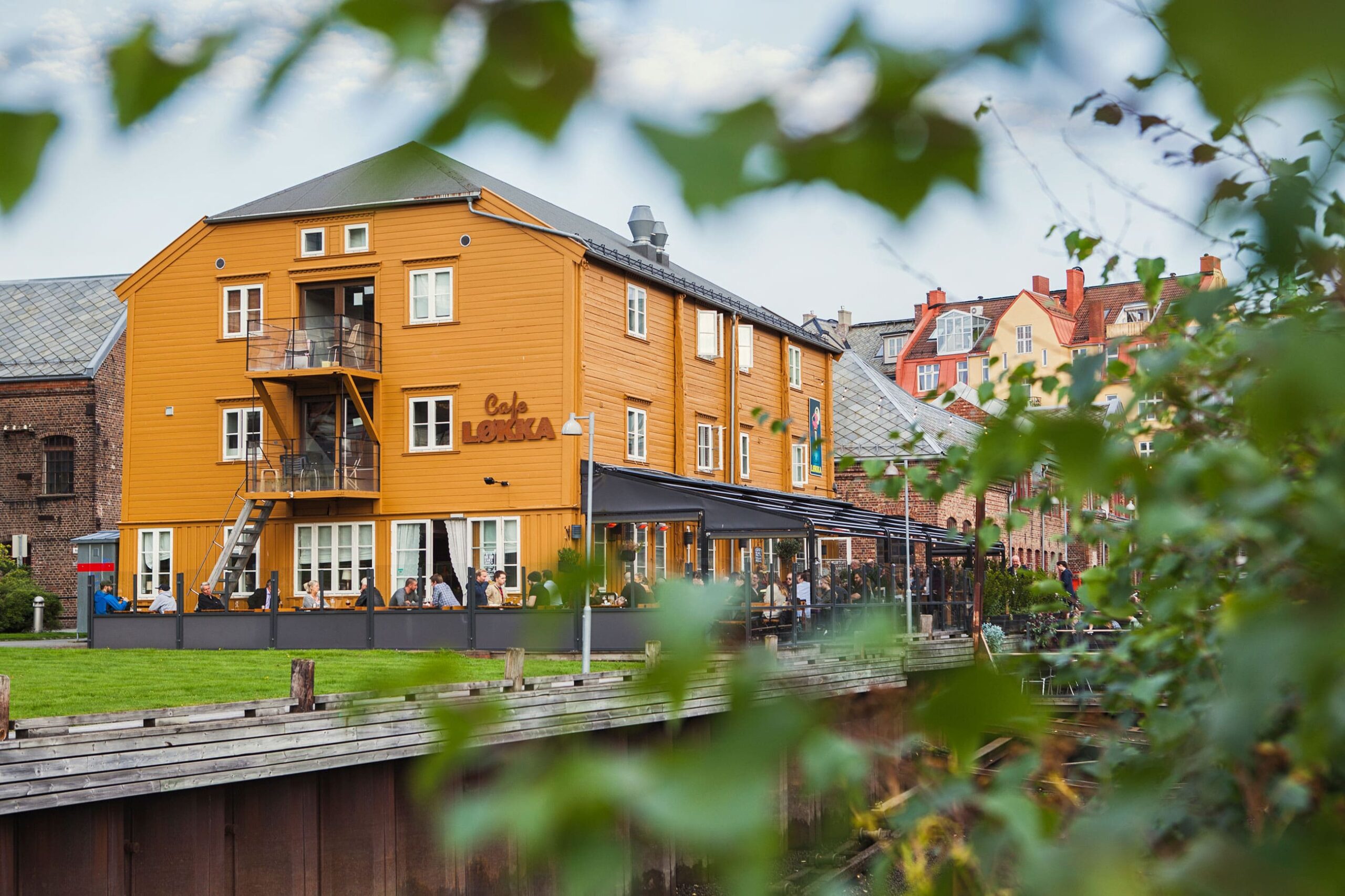 Featured image for “Cafe Løkka”