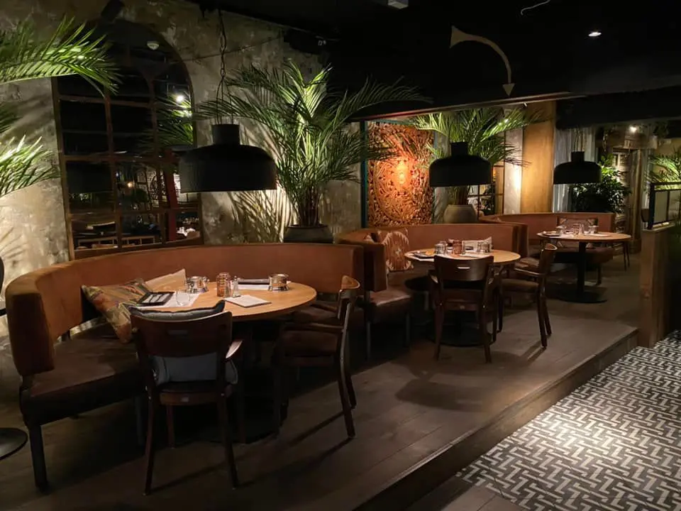 Featured image for “Indie”