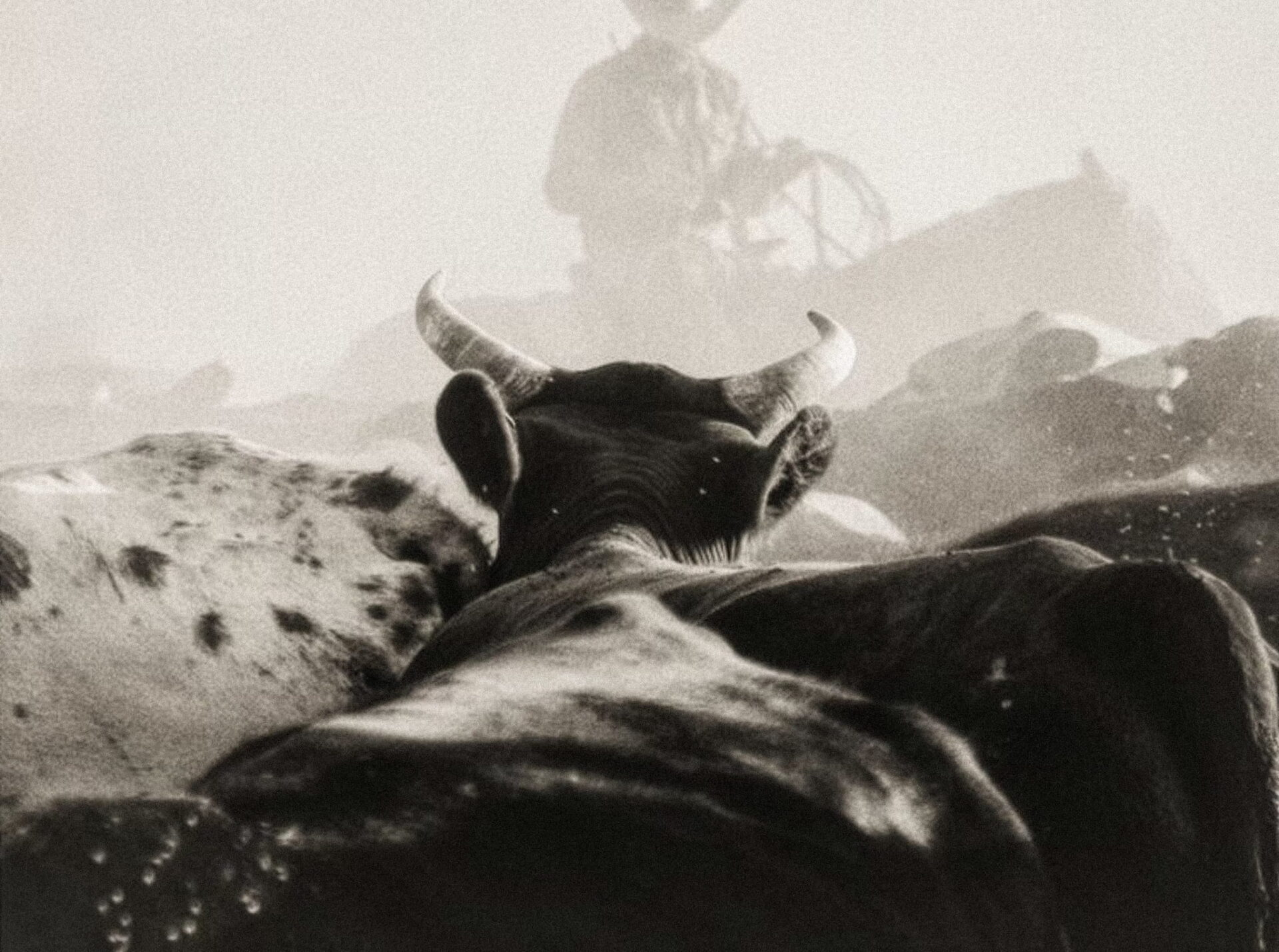 Featured image for “Kull Bar & Grill”