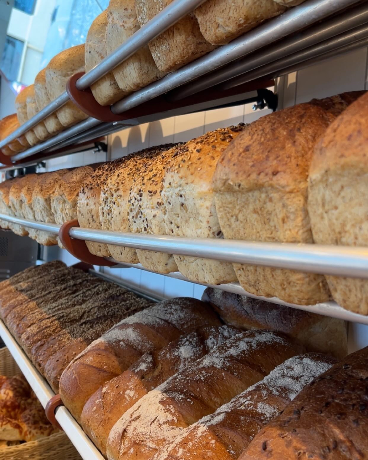 Featured image for “Baker Walderhaug”