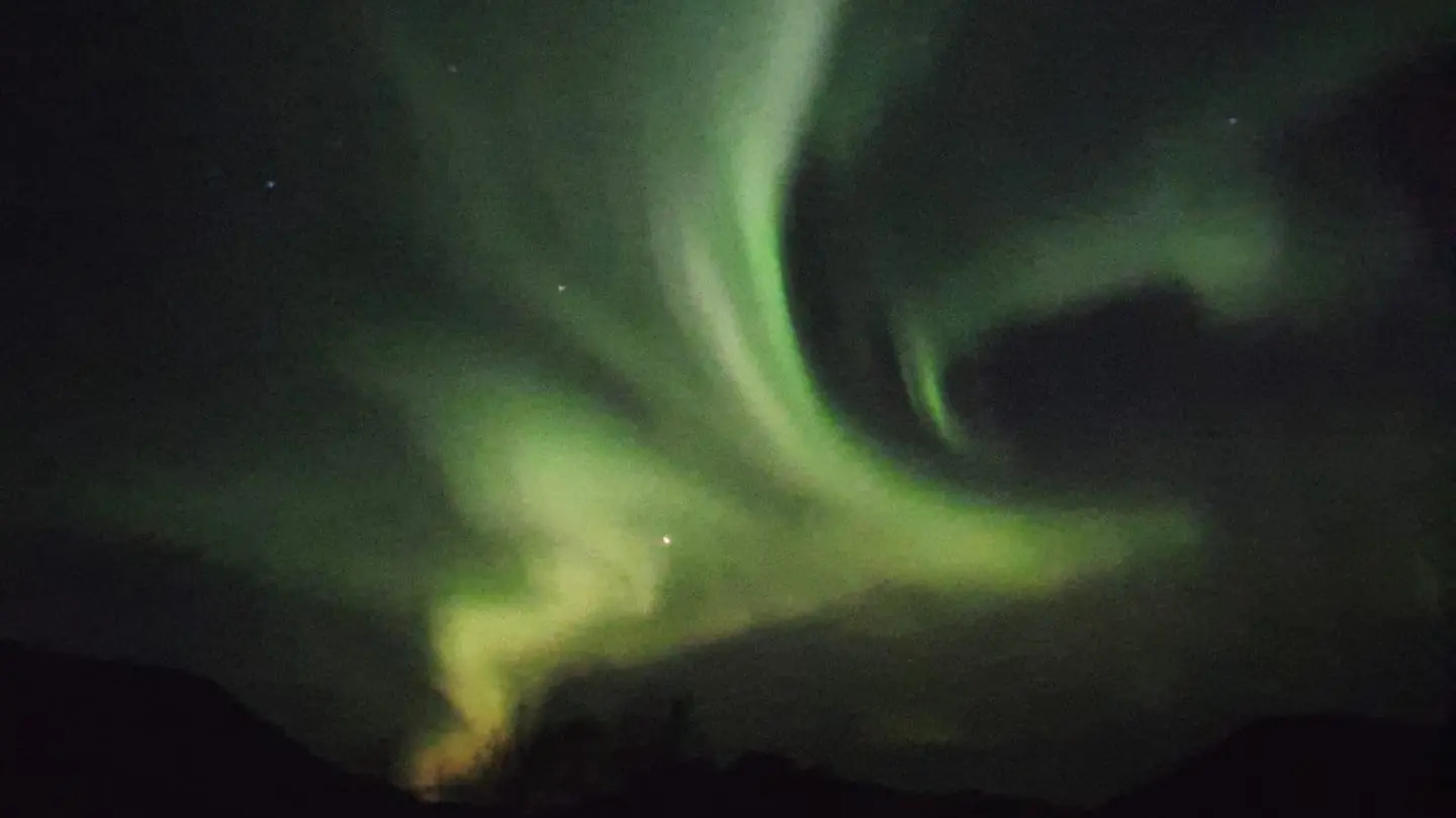 Featured image for “Northern Lights Cinema & Gifts Shop”